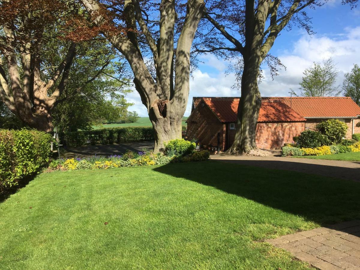 Crossways Self-Catering Cottage - Self Contained East Ravendale ภายนอก รูปภาพ